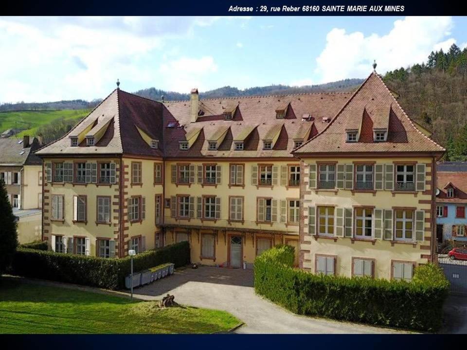 Aux Souvenirs D'Anaelle Gites 5 Personnes Sainte-Marie-aux-Mines Exterior foto